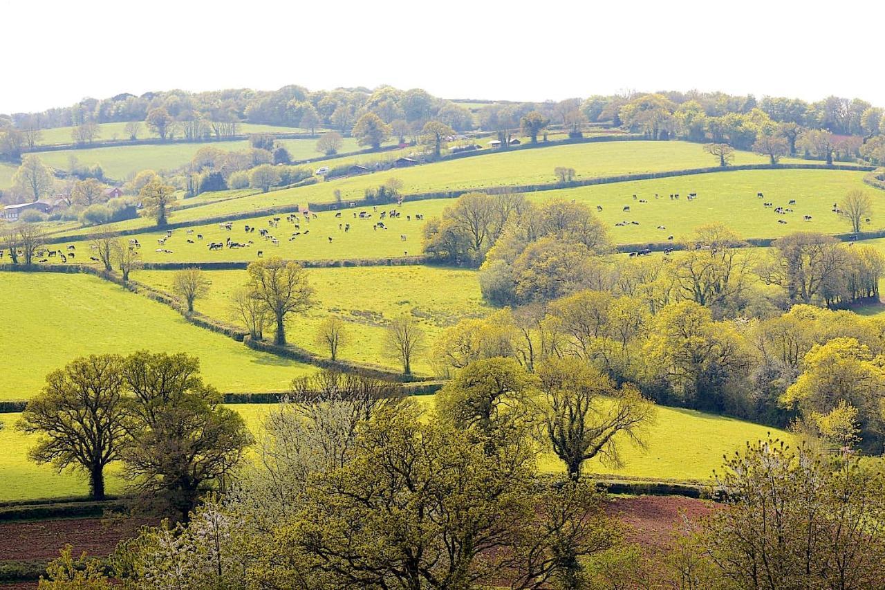 Burnhaies Farm Coach House * Cullompton